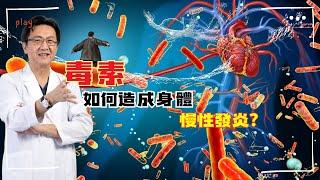 ｜直播｜毒素如何造成身體慢性發炎？｜腸胃霖負擔｜