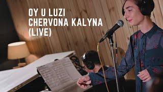 Alina Zalozna Sextet - Oy U Luzi Chervona Kalyna (Live)