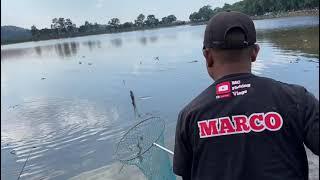 Big rohu fish caught in fishing competition at Taljawa lake.