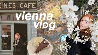 My First Solo Trip to Vienna ️ 3 Days in Austria VLOG