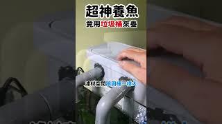 49元的按壓圓桶過濾器！DAISO garbage can DIY Canister Filter (Aquarium Filter) #Shorts