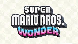 Wonder Flower: Serious - Super Mario Bros. Wonder