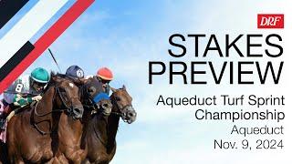 Aqueduct Turf Sprint Championship Preview | November 9, 2024