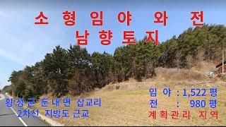 작은 임야와 전 2차선 도로에 접한  접근성과 가격이 맘에드는  남향토지 ,#횡성부동산,#횡성임야,      횡성군 둔내면 삽교리