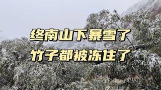 秦岭终南山下暴雪了，零下20度竹子都结冰了，山上出现了雾凇美景