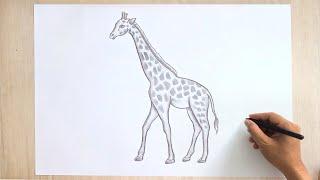 Giraffe Drawing 