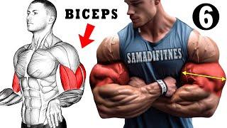 Top 6 Big Biceps Workout For Muscle Building