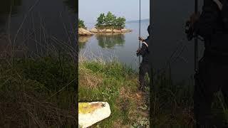 깽이 나타났다. 줘도 못먹는 형