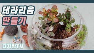 [원예 테라피] 다육 테라리움 만드는 3가지 방법 (3 ways for succulent terraium)