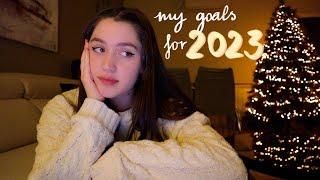 my 100+ goals for 2023