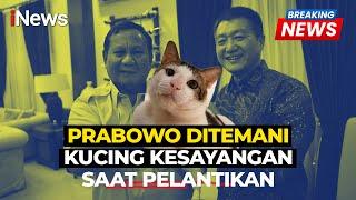 Prabowo Ditemani Kucing Kesayangan Bobby Kertanegara di Istana - Breaking News 20/10