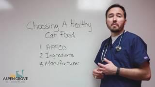 Choosing a Healthy Cat Food