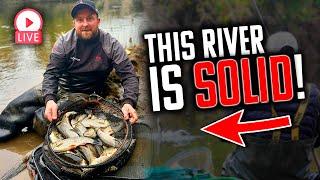 The BEST river fishing in the UK | River Wye Festival Highlights