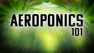 AEROPONICS 101 | THE EPITOME OF GARDENING | THE BEST WAY TO GROW ANYTHING