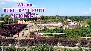 WISATA TERBARU MOJOKERTO || WISATA BUKIT KAYU PUTIH MOJOKERTO