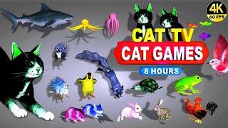 CAT GAMES | THE MOST FAVORITE MOVIE FOR CATS TO WATCH | CAT TV COMPILATION 4K 8 -HOURS | 