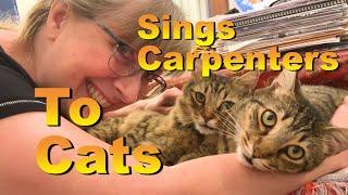 Woman sings Karen Carpenter song to adorable snuggling cats.