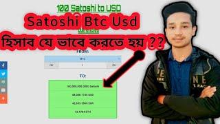 1 satoshi to usd | how to convert btc to usd | satoshi btc usd হিসাব করুন 