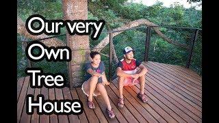 Couldn't Leave a TREEHOUSE in San Juan del Sur