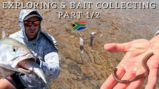 DISCOVERING NEW FISHING GROUNDS - 1Hour Edition Part 1 of 2