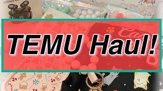 12/06/24 Friday HAUL ~ TEMU-style! So many great crafty, decor, and gift ideas