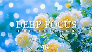 Echoes of Stillness | 4K Video Nature - Focus Music