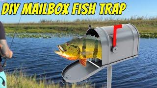 DIY FISH TRAP with a Mailbox | Monster Mike