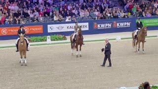 Approved Gelders stallions Odeer, Odin and Ojee B at KWPN Stallion Show 2023