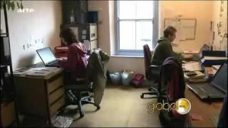 Transition Towns-Bewegung - ARTE Global Mag - 03. Feb. 2010 (9 min.).flv