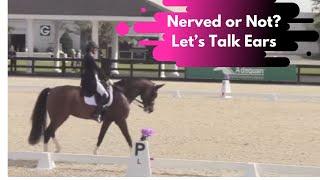 Did Shannon Dueck Nerve Angelika's Ears? Let's Take A Look At Her Grand Prix Dressage Horse