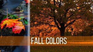 Fall - A Beautiful Season