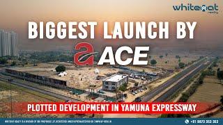 ACE Group New Launch | Residential Plots at Yamuna Expressway | WhiteHat Realty