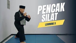 Unlocking Traditional Moves: Pencak Silat Part 5!