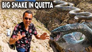 I found Big Snake in Mariabad's Mountain, Quetta | Hiking in Quetta's Mountain