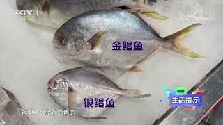 《生活提示》 20210211 挑选海鱼要注意什么？| CCTV