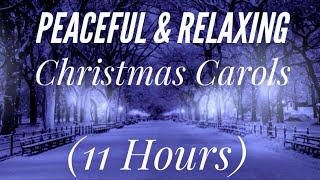 11 Hours of Peaceful & Relaxing Christmas Carols (Rosemary Siemens)