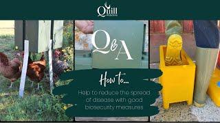 Avian Influenza - How to reduce the spread of disease with good biosecurity measures