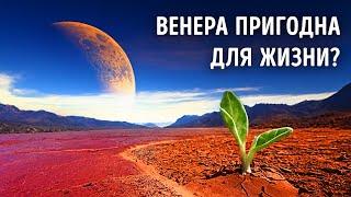 Почему Венера превратилась в злого близнеца Земли