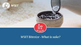 WSET Bitesize - What is sake?