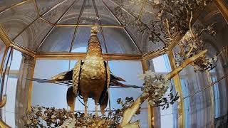 Санкт-Петербург - Эрмитаж