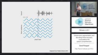 Entrainment, segmentation, and decoding: three necessary computations for speech comprehension