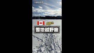 【漫跑纽芬兰】加拿大冬季雪地越野跑真的很锻炼心肺能力