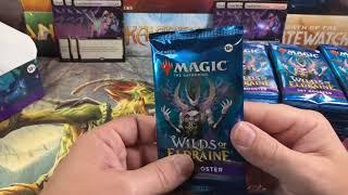 Wilds Of Eldraine Set Booster Box Full Opening, So Much Better! Magic The Gathering MTG WOE