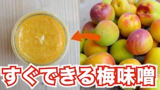 【梅仕事】すぐにできる完熟梅味噌の作り方。長期保存もできる万能調味料です！