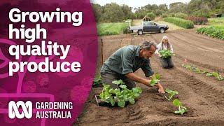 The complex process behind running an organic seed farm | Discovery | Gardening Australia