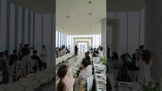 레버드웨딩, 제주 스몰웨딩, 스몰웨딩, 제주도 스몰웨딩, 제주도 결혼식 Destinationwedding KoreaWedding