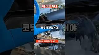 [구매번호 8번] #유리막코팅셀프#유리막코팅제추천#유리막코팅제#유리막코팅세차#유리막코팅가격#유리막코팅제순위#유리막코팅효과#유리막코팅관리제#유리막코팅제비교