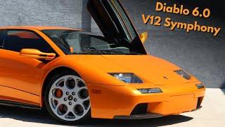 The AMAZING Sounds Of The Lamborghini Diablo VT 6.0! | Start-Up, Driving #lamborghini