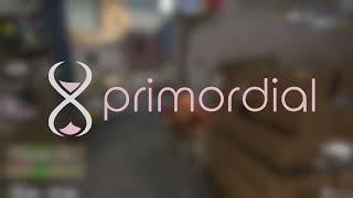 first day with primordial.dev