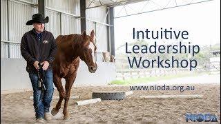 Intuitive Leadership Workshop NIODA